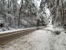 Pierwszy śnieg i pierwsze problemy