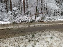 Pierwszy śnieg i pierwsze problemy