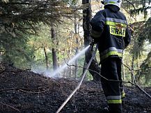 Dwa wypadki i pożar lasu
