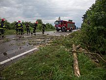 Drzewo przewróciło się na ciężarówkę