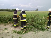 Wiatr zrywał dachy i powalał drzewa. Tragiczne skutki nawałnicy.