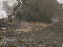 Pożar suchej trawy w Mężeninie