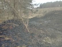 Pożar suchej trawy w Mężeninie