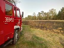 Pożar traw wzdłuż linii kolejowej