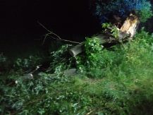 Skutki burz i silnych porywów wiatru