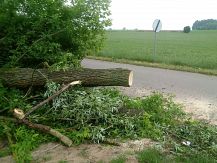 Skutki burz i silnych porywów wiatru