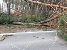 Wichura nad  Gminą Śniadowo