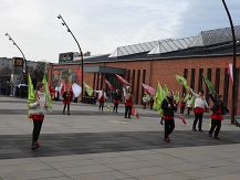 Występy grupy chorągwiarskiej STRAŻNICY HERBÓW we Wrocławiu