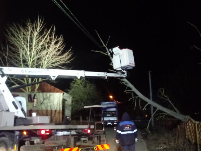 Powalone drzewo na linię energetyczną