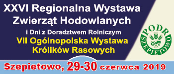 Wystawa zwiarząt hodowlanych w Szepietowie