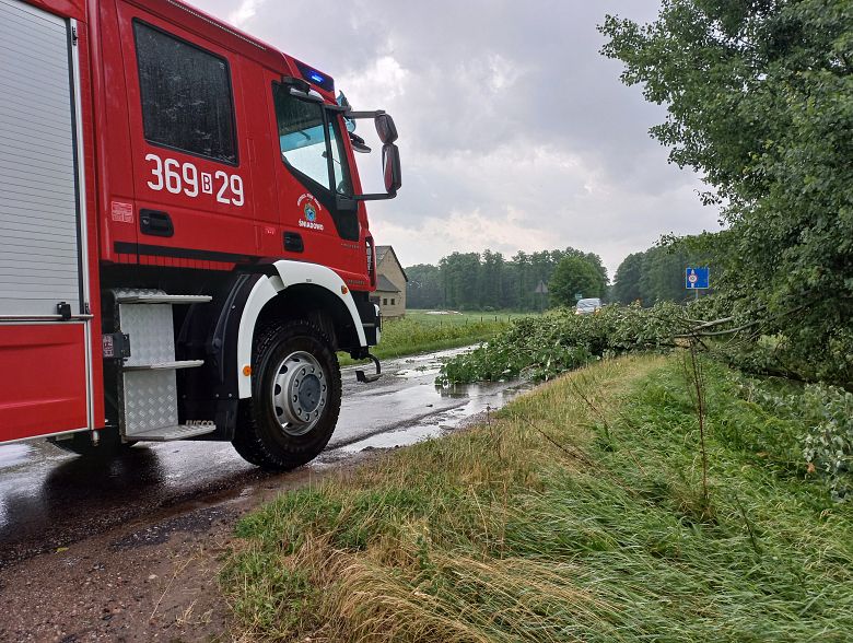 Połamane drzewa po burzy