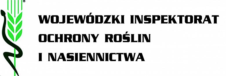 Pomoc publiczna dla producentów ziemniaka